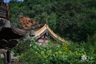 wKgB21AoOu7pHZwhAAFvX-ujvYM79.rbook.w311.jpeg wKgB21AoOu7pHZwhAAFvX-ujvYM79.rbook.w311.jpeg