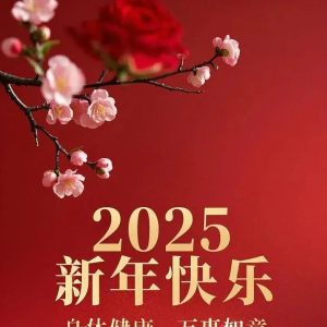²⁰²⁵/₁.₂₈ 巳蛇年：除夕快乐，阖家团圆！